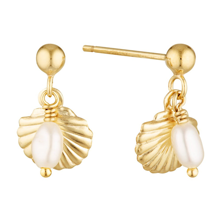 Seaside Gold Filled Earrings with Freshwater Pearl and Shell Drop Gold 1 - Bowerbird Jewels - Online Jewellery Store