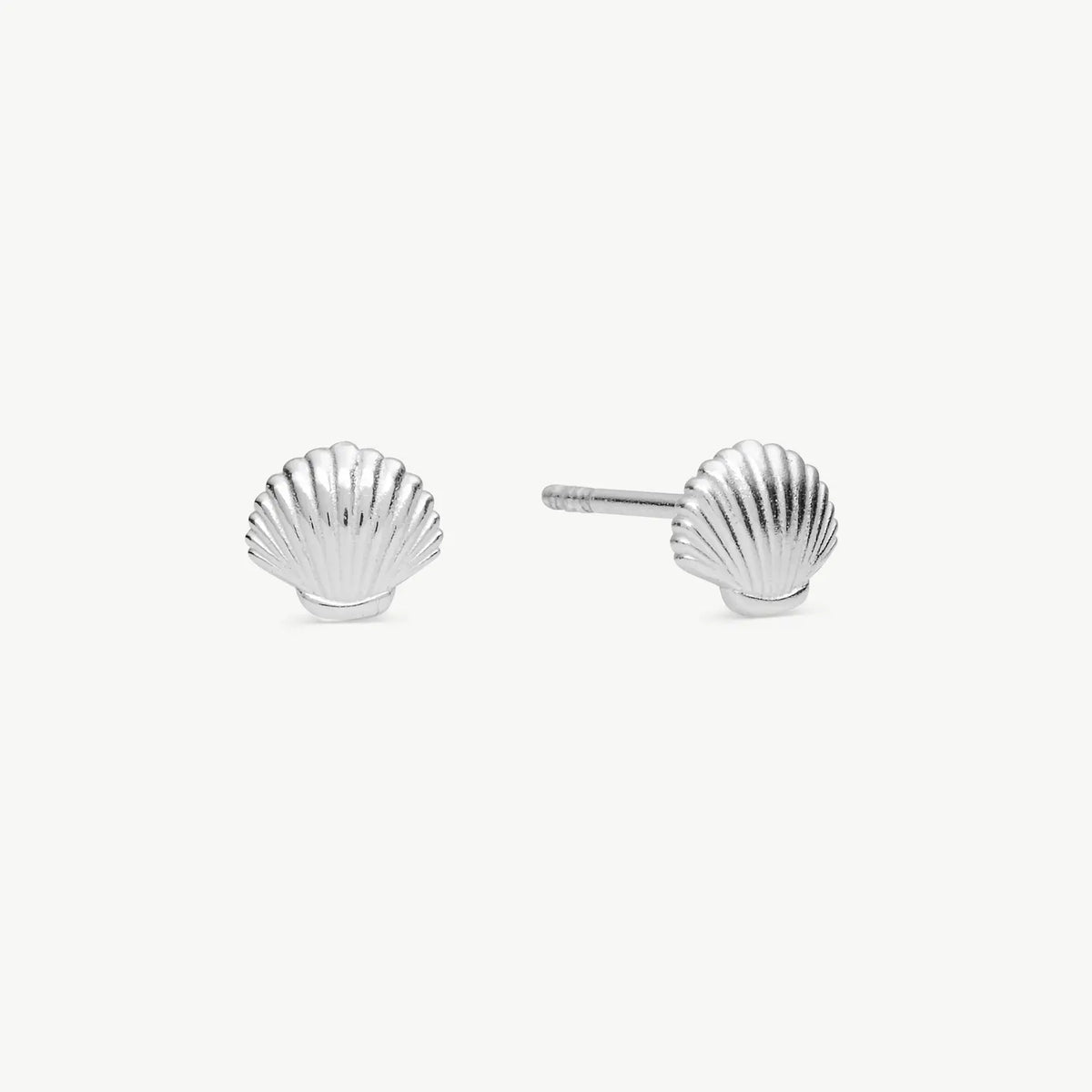 A pair of silver shell stud earrings shown on a plain light gray background, with one earring facing forward and the other angled to show the post and backing.