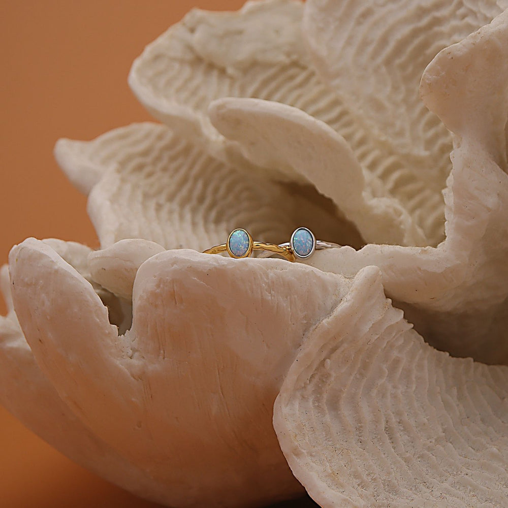 A pair of gold rings with oval light blue stones resting on the textured petals of a large white seashell against a warm orange-brown background.
