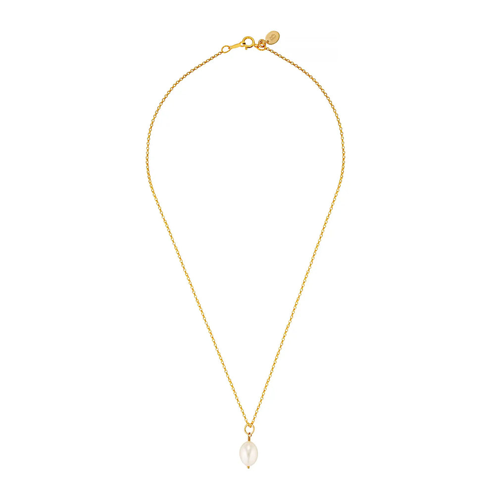 Gold Filled Drop Pearl Necklace Gold 2 - Australian Jewellery Brand Bowerbird Jewels