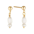 Gold Filled Zenith Pearl Drop Earrings Gold 1 - Australian Jewellery Brand Bowerbird Jewels