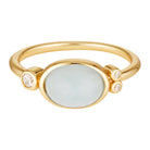 Leal Aquamarine Gemstone Ring in 18K Gold Vermeil Gold 1 - Bowerbird Jewels - Online Jewellery Store