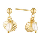 Seaside Gold Filled Earrings with Freshwater Pearl and Shell Drop Gold 1 - Australian Jewellery Brand Bowerbird Jewels