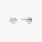 A pair of silver shell stud earrings shown on a plain light gray background, with one earring facing forward and the other angled to show the post and backing.