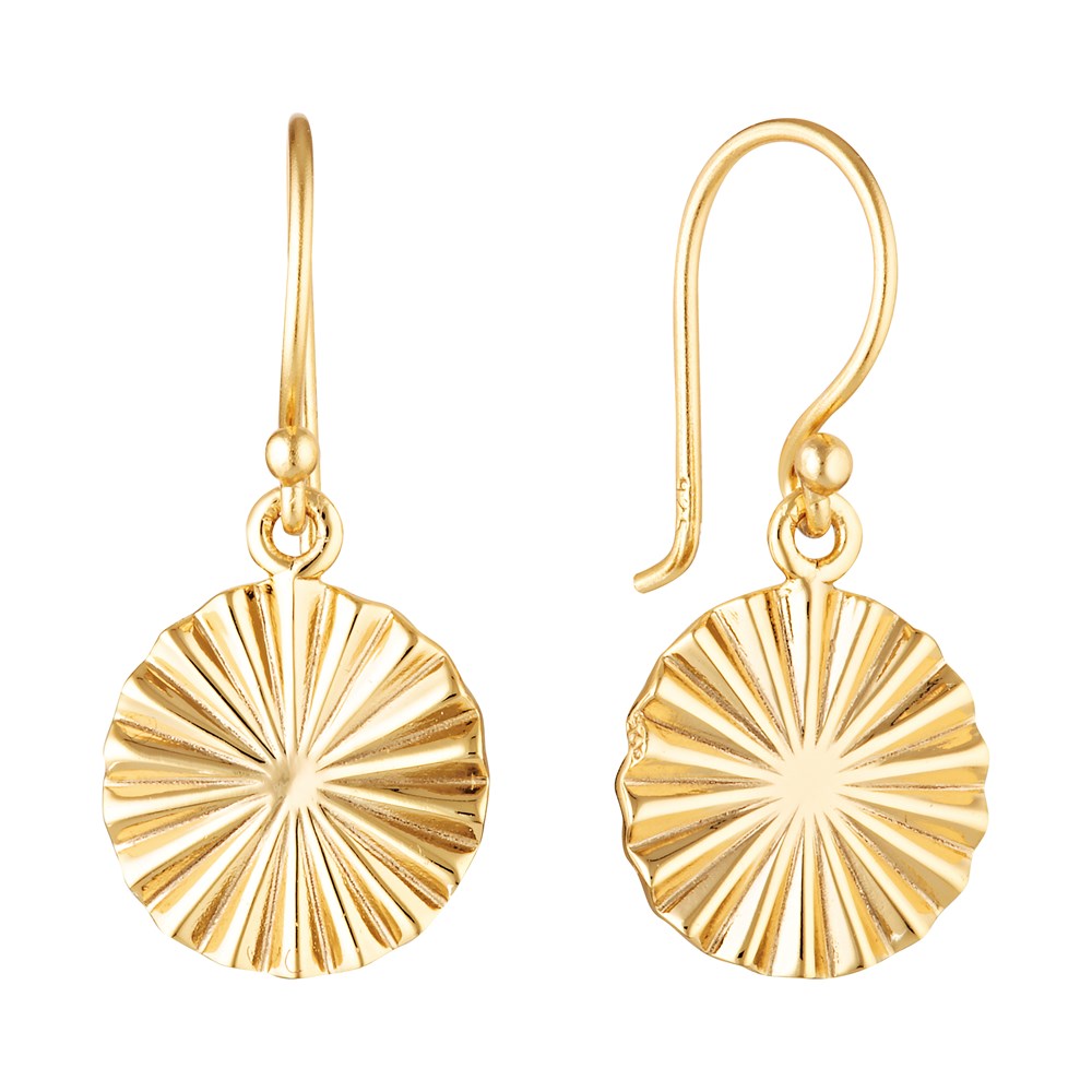 Sonrisa Drop Disc Earrings Gold 1 - Bowerbird Jewels - Online Jewellery Store